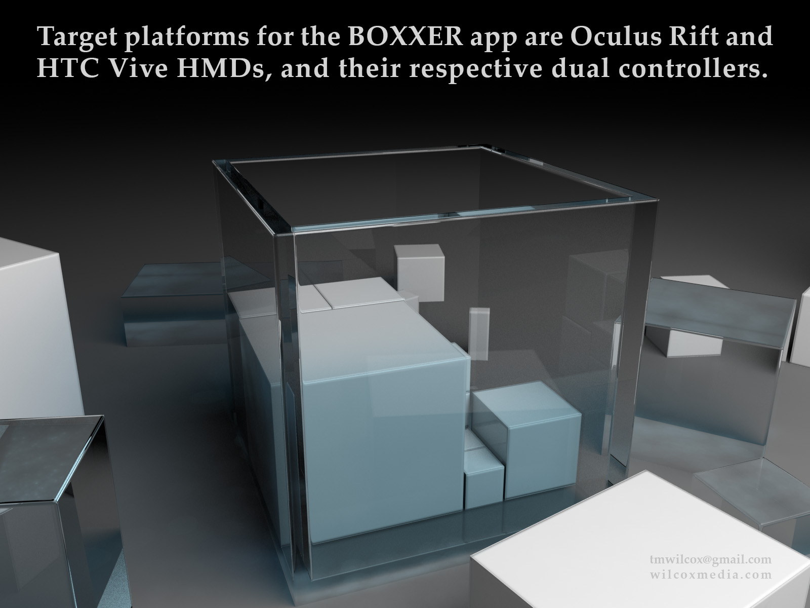 Target platforms for the BOXXER app are Oculus Rift and HTC Vive HMDs, and their respective dual controllers.